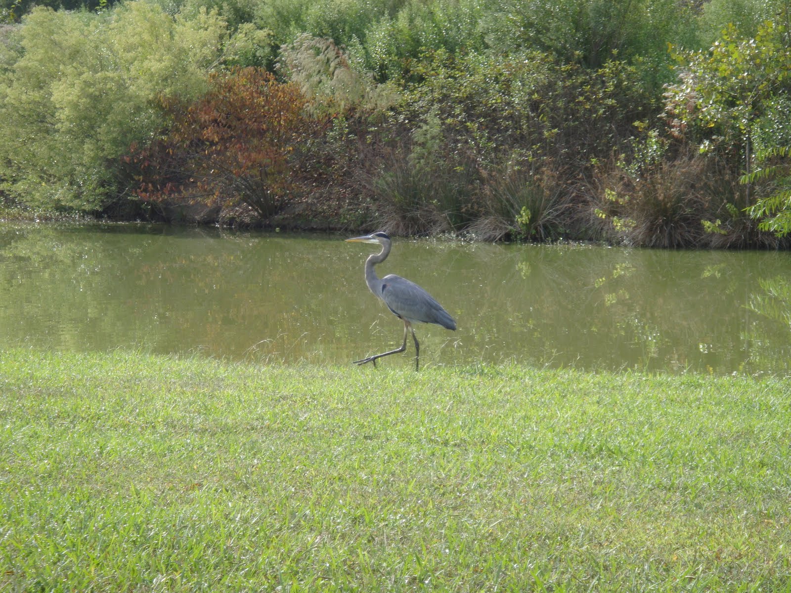 [DSC00762.JPG]