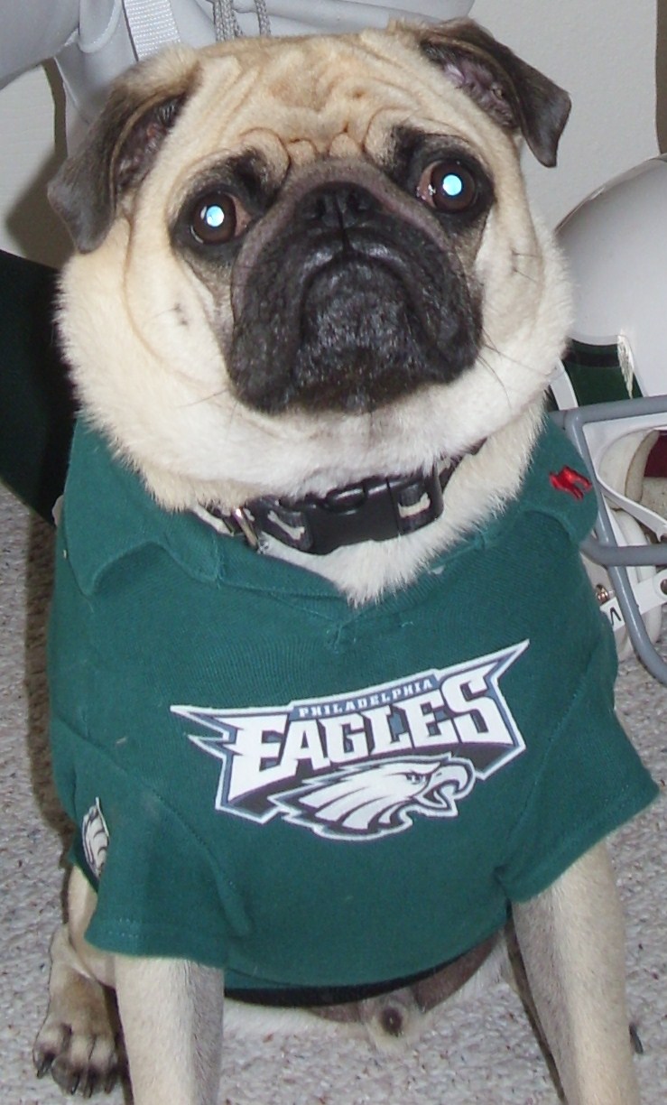 "Multum In Parvo"...with Cinnabon tails August 2010