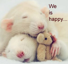 [We-is-happy....jpg]