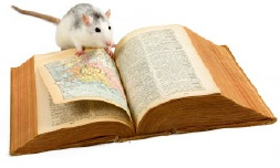 [rat-book.jpg]