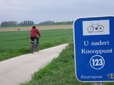 fietsen in Haspengouw