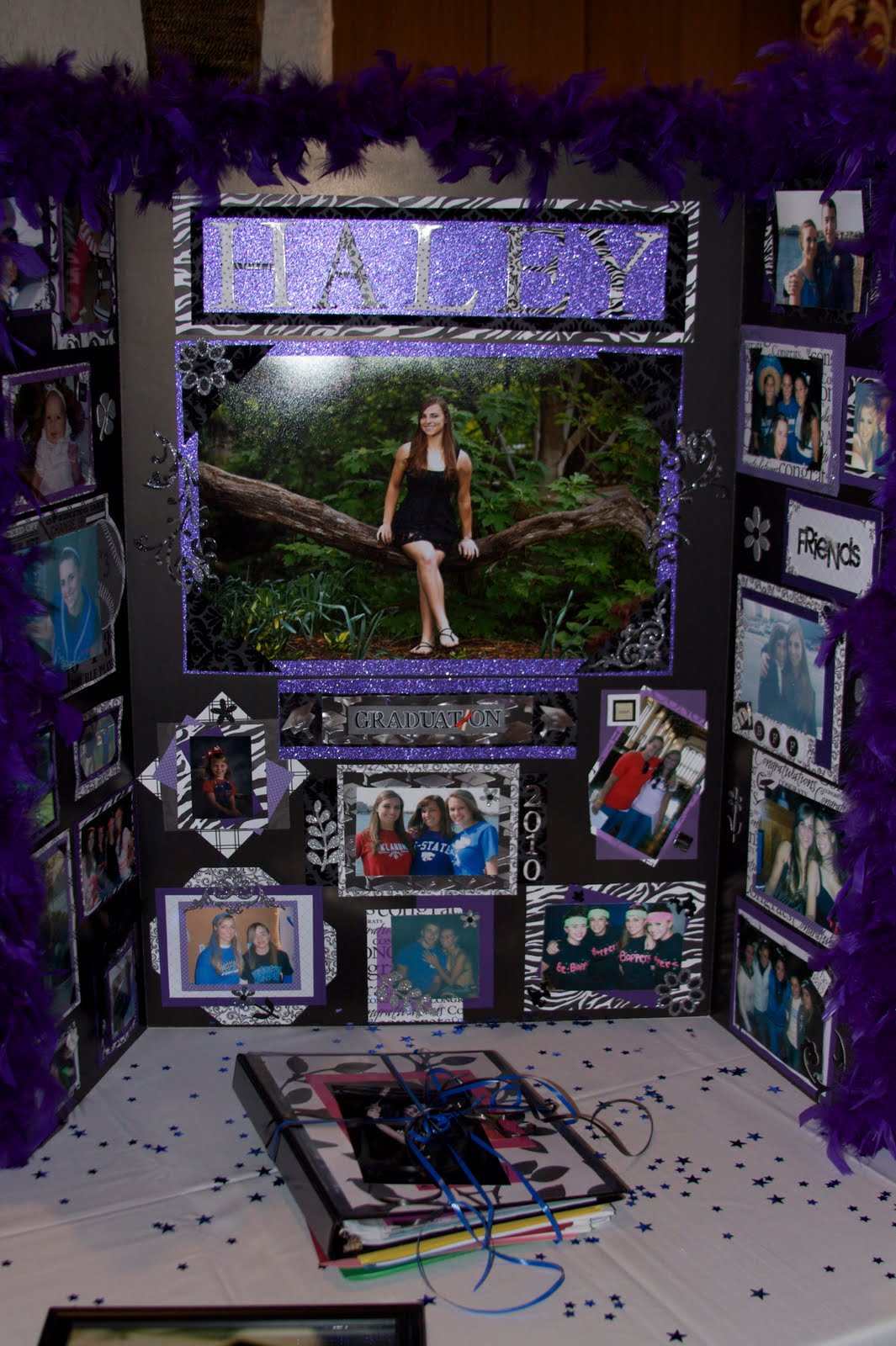 TIS Senior Boards Examples of Past Senior Boards