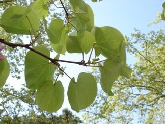 [DSC02871.JPG]