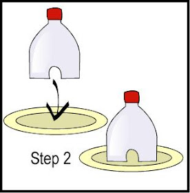 Nick 2 Liter Bird Feeder Plans