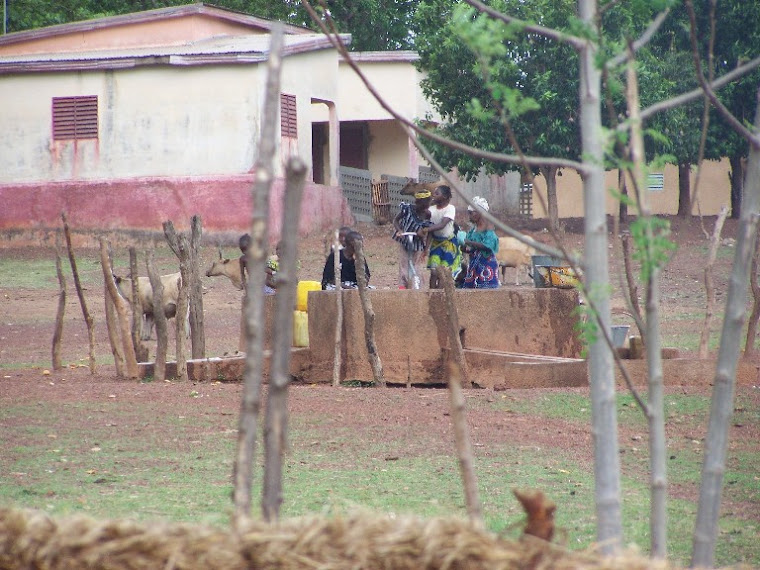 village well