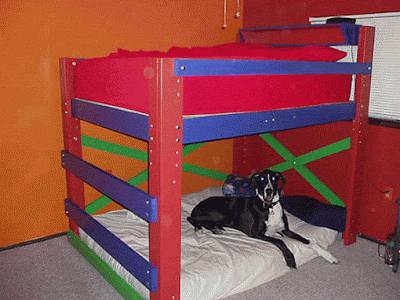 Cool Loft  Designs on Design  Kids Loft Bed Plans With Beautiful Designs And Remodeling