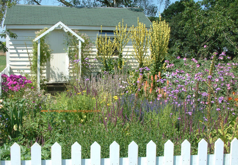 Home Garden Plans 2014: January 2011