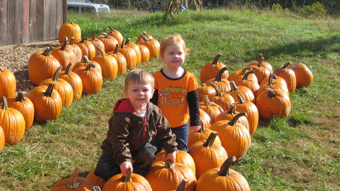 pumpkin patch