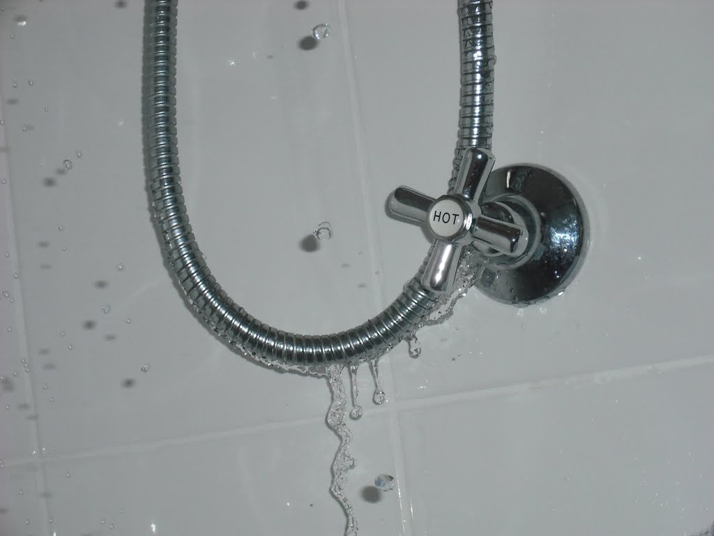 Building Our First House [Progress.161] Thanks to excellent service