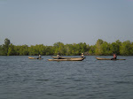 Circulação fluvial