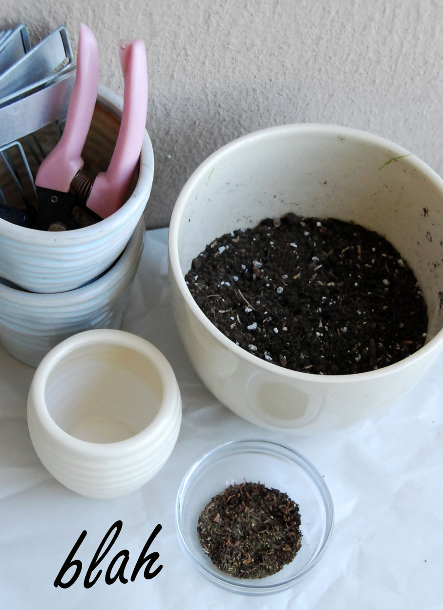 blah to TADA! Recycling Tea Bags