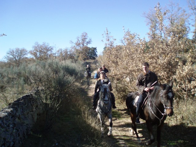 [P1010289.JPG]
