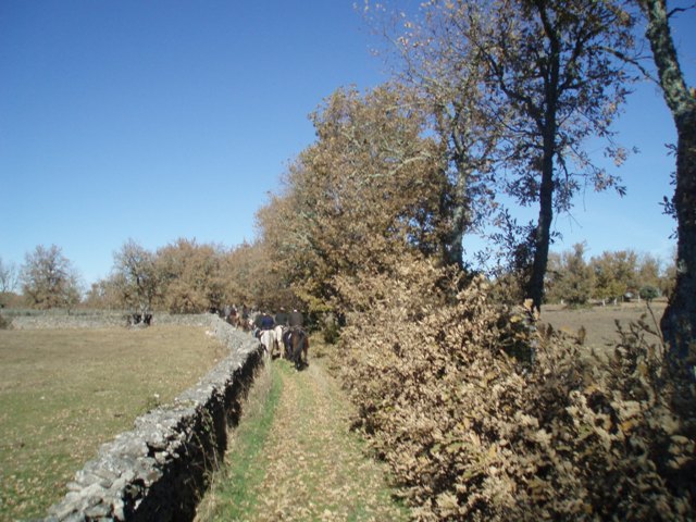 [P1010283.JPG]