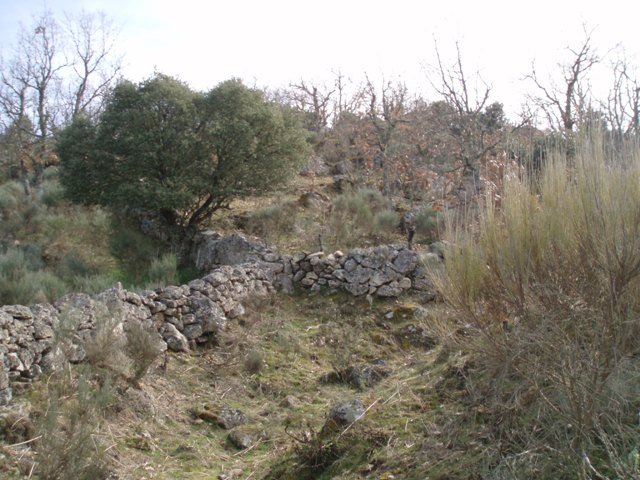[P1010262.JPG]