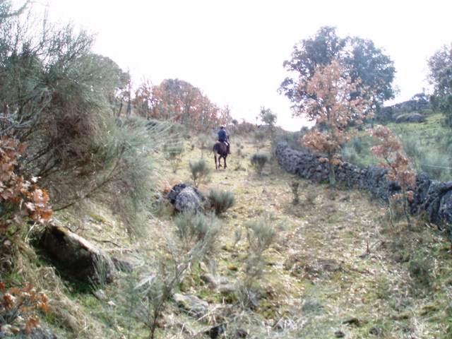 [P1010263.JPG]