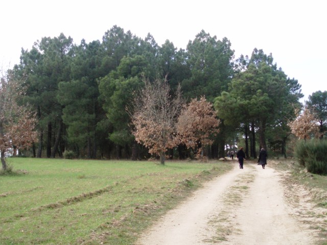 [P1010132.JPG]