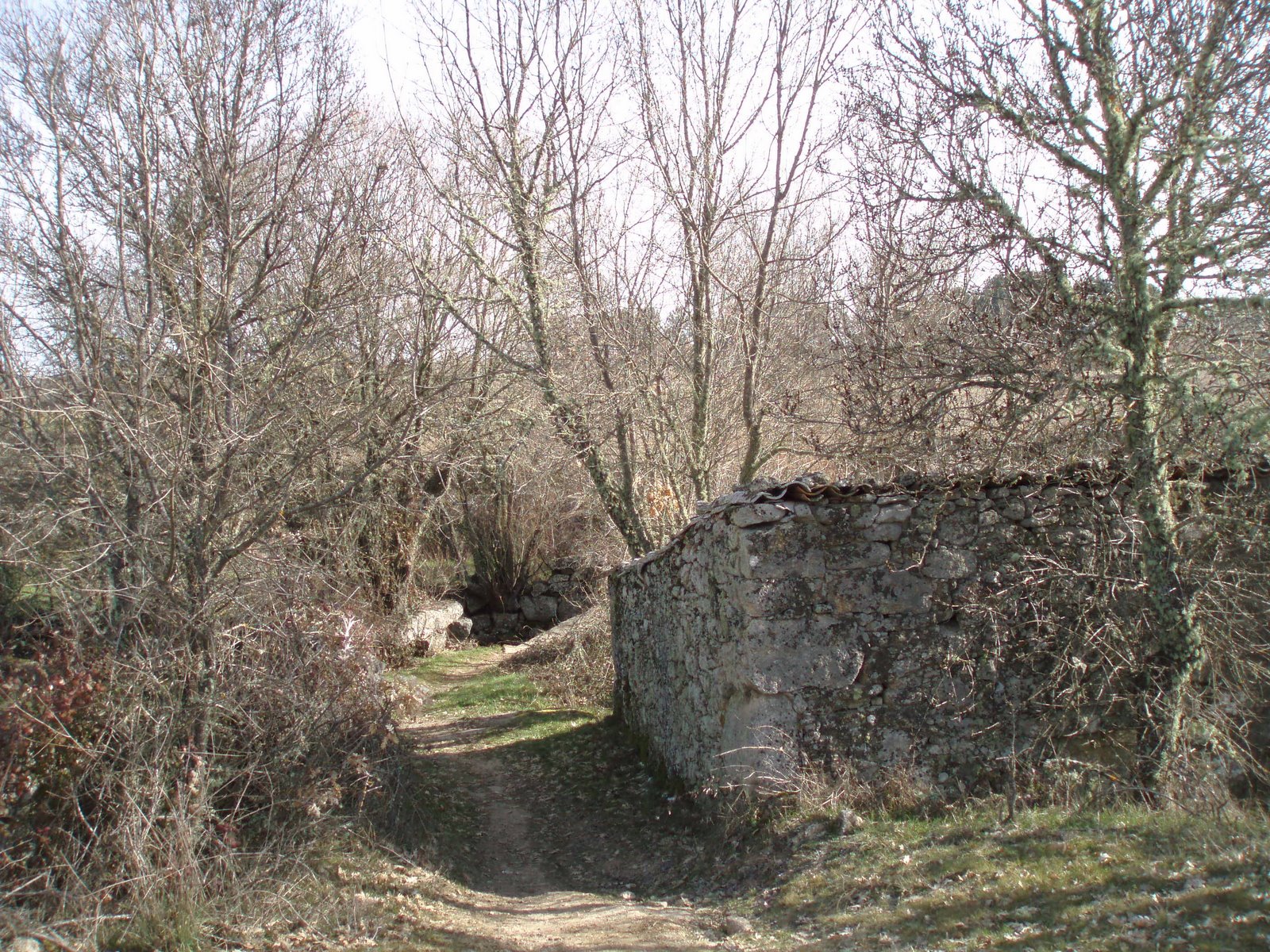 [P1010208.JPG]