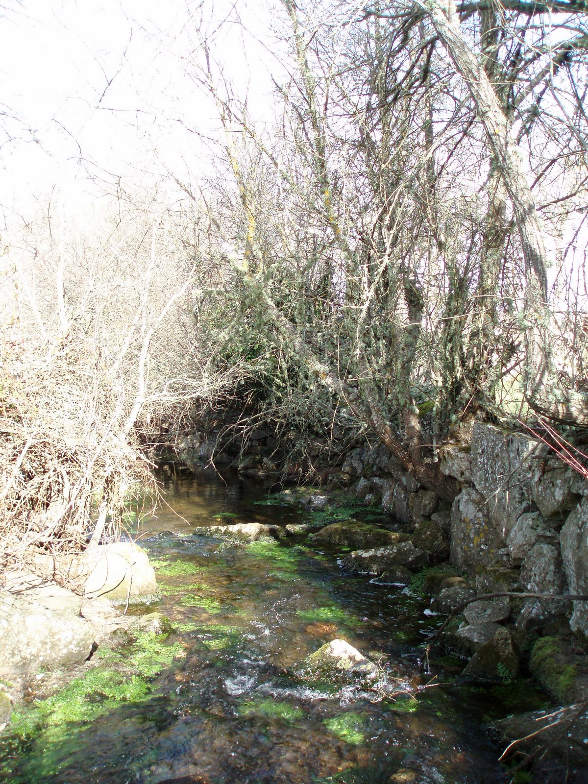 [P1010217.JPG]