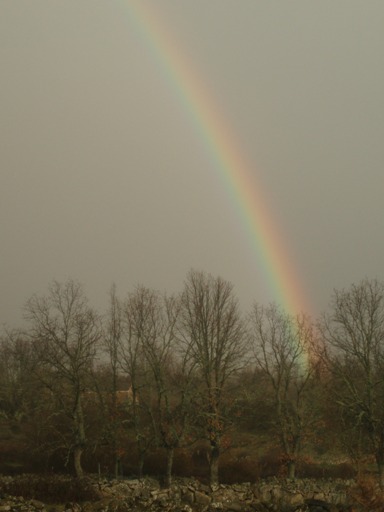 [arco+iris.jpg]