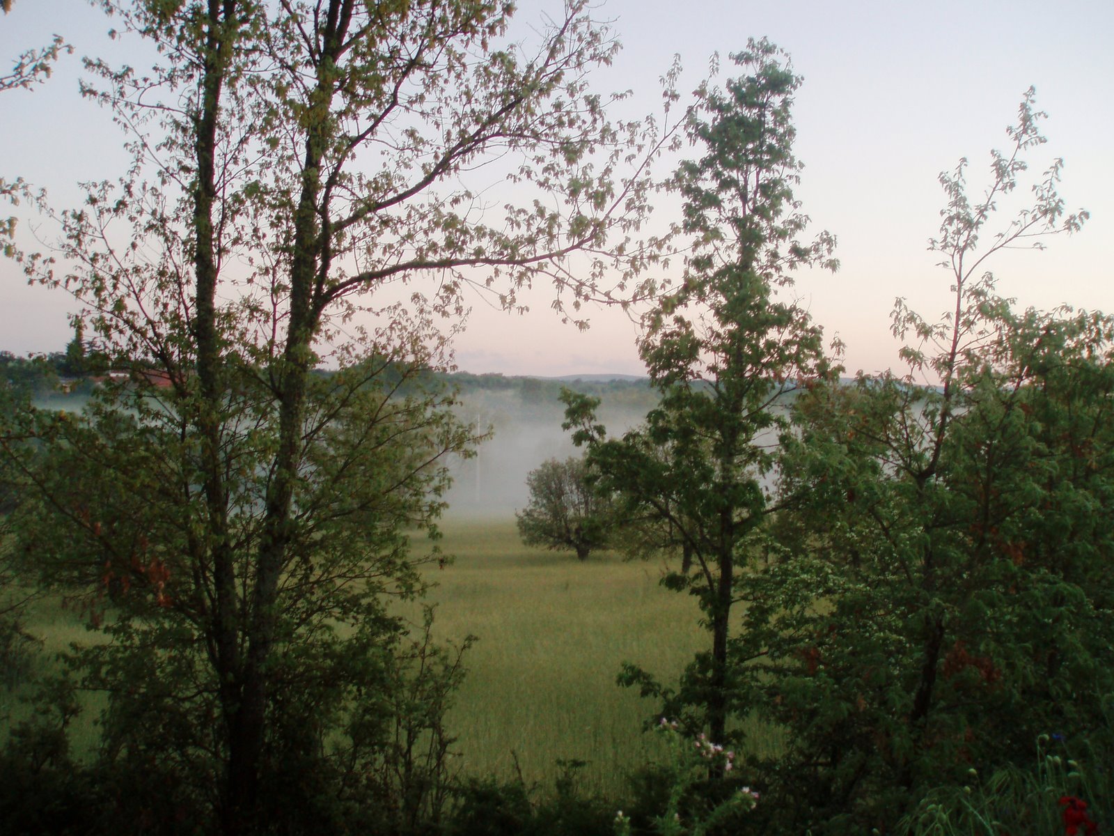 [P1010672.JPG]