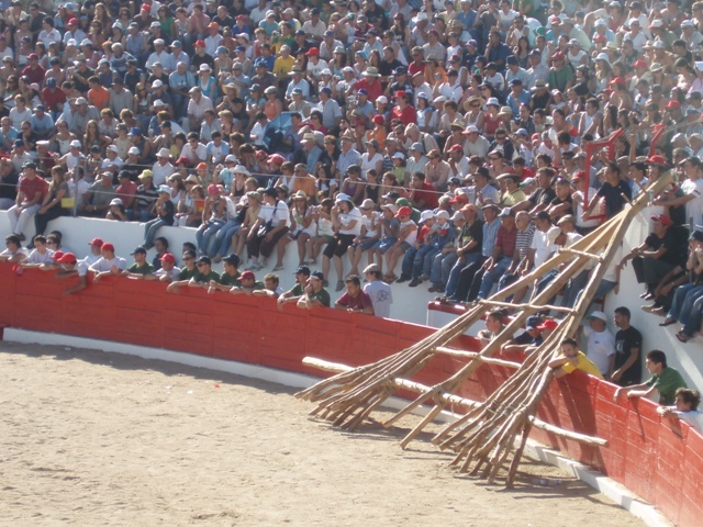 [P1010089.JPG]