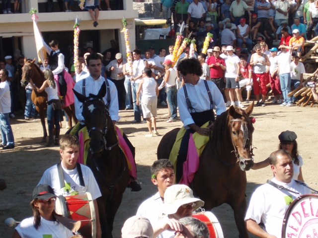 [P1010265.JPG]