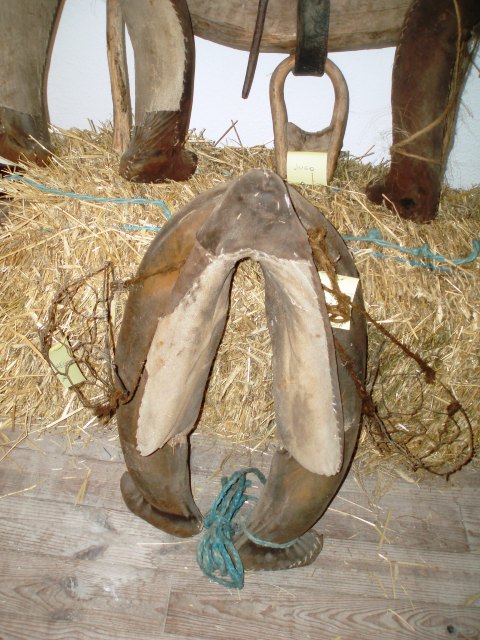 [P1010113.JPG]