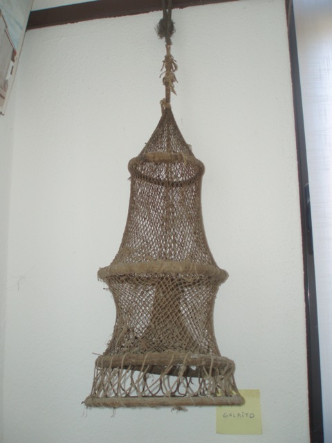 [P1010110.JPG]