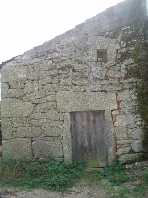 [P1010108.JPG]
