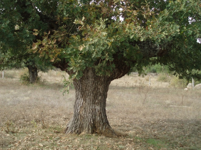 [P1010076.JPG]