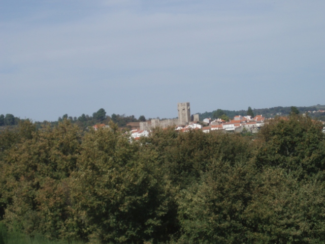 [P1010029.JPG]