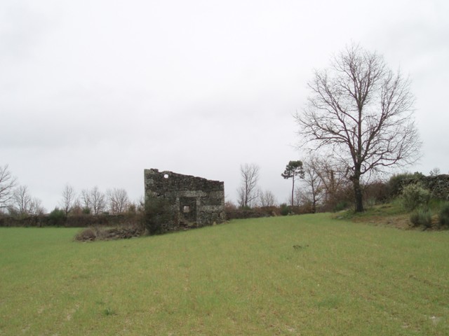 [P1010196.JPG]
