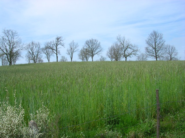 [DSCN1726.JPG]