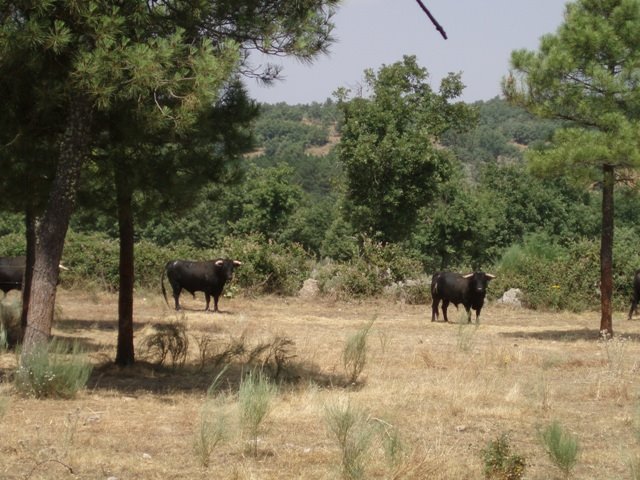 [P1250008.JPG]