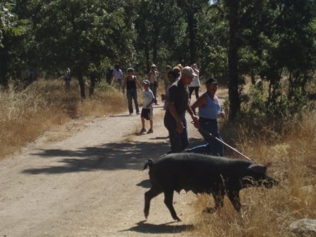 [P2260195.JPG]