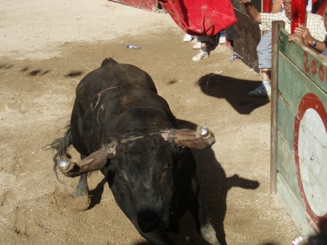 [P2240094.JPG]