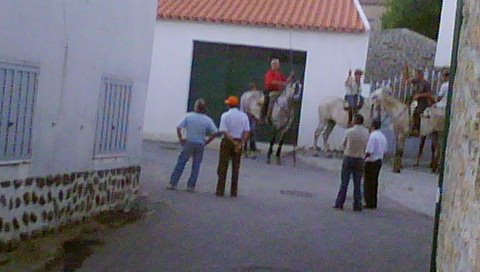 [DSC00097.JPG]