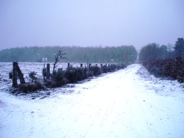 [P7040341.JPG]