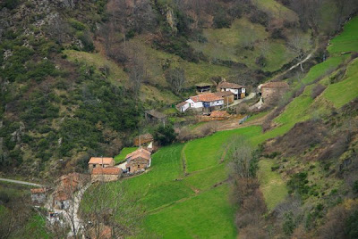 © Cris 2010