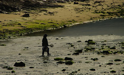 © Cris 2010
