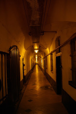 © Jose 2009