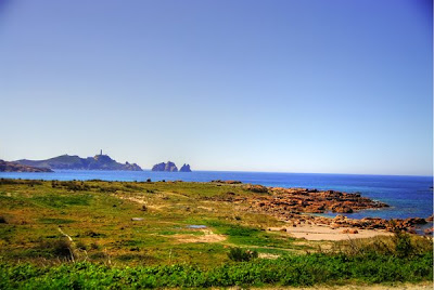 © Cris 2010