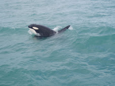 Se hvem vi traff igjen.