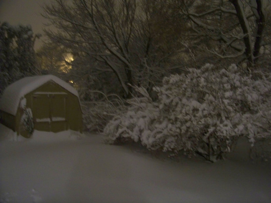 [snowy+shed.jpg]