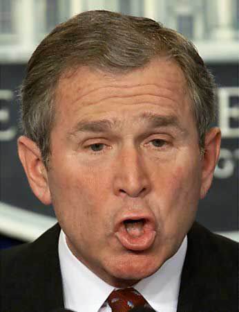 [Bush.bmp]