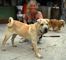 SATILIK KÖPEKLERİMİZ