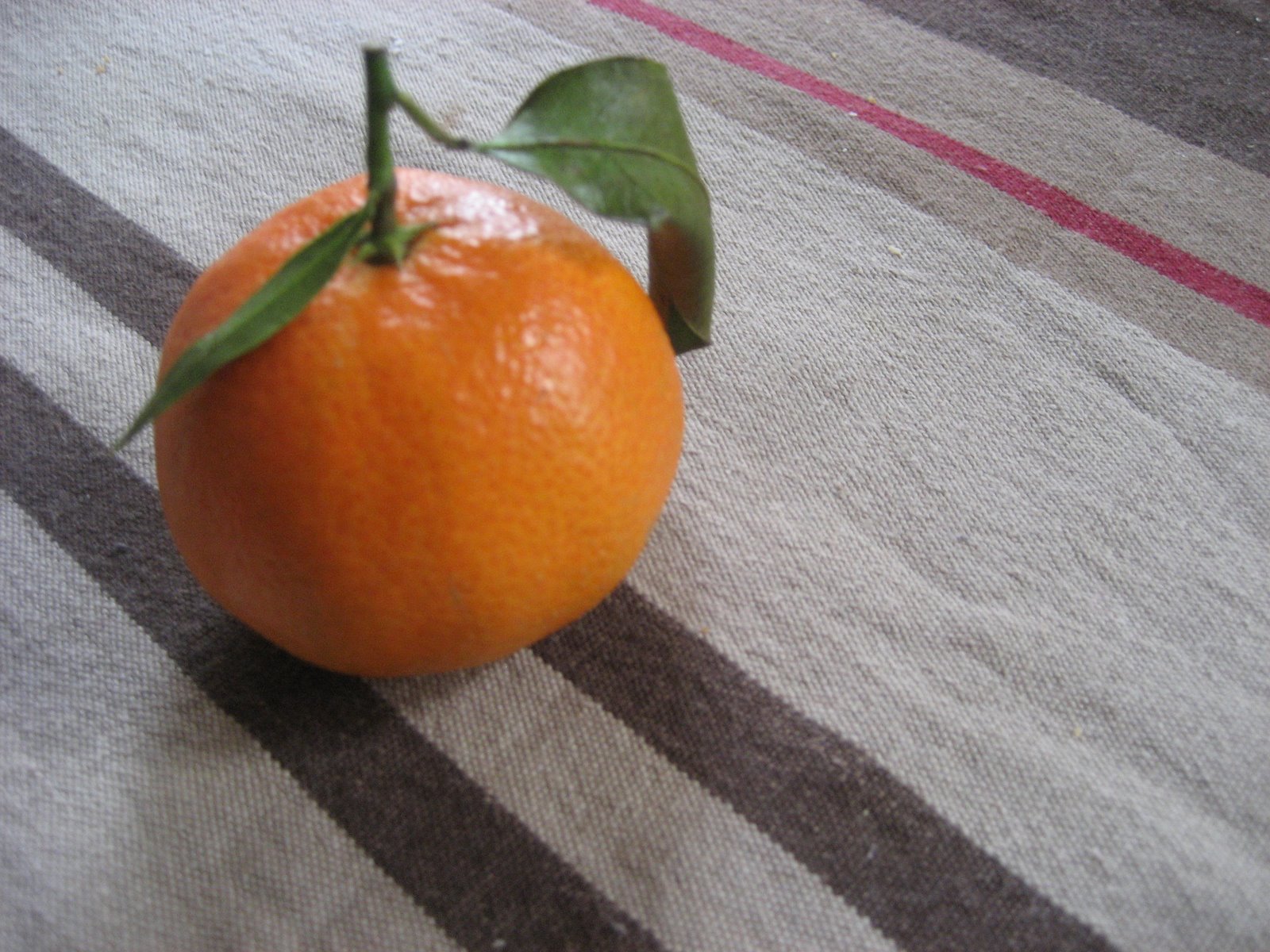 [IMG_4506.JPG]