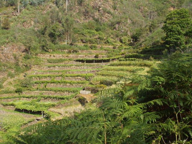 [P1010086.JPG]