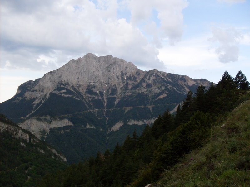 [SDC10541.JPG]