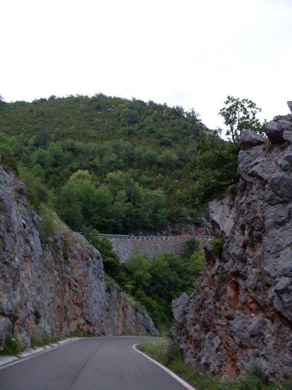 [SDC10738.JPG]